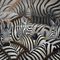 Art fait main de mur de toile d'impression d'Art Canvas Paintings Animal Zebra de résumé