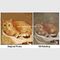 Cat Portrait Oil Painting Hand - peinte avec la texture pour transformer votre photo en peinture